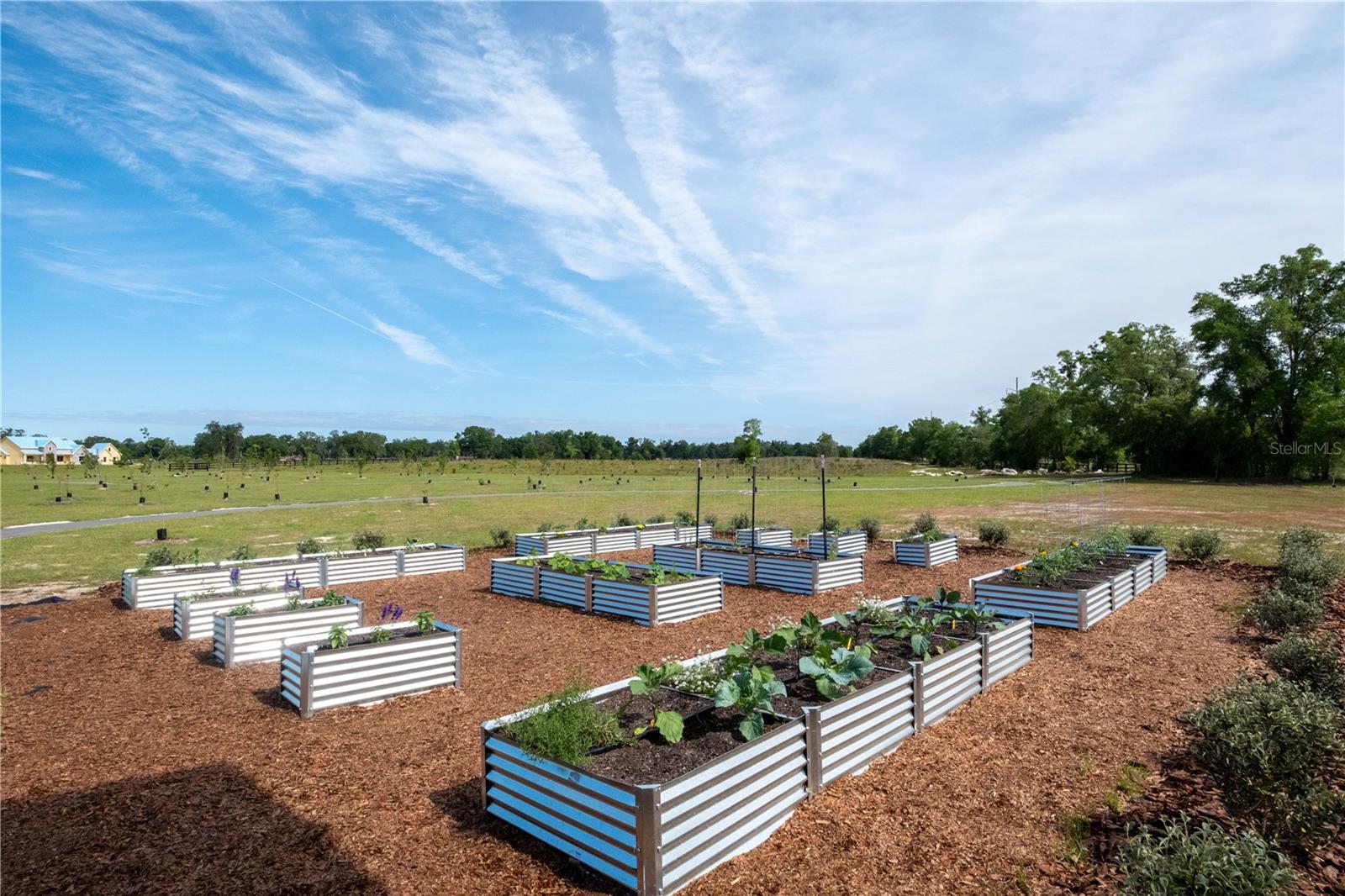 Image 17 of 21 For 6023 124th Way