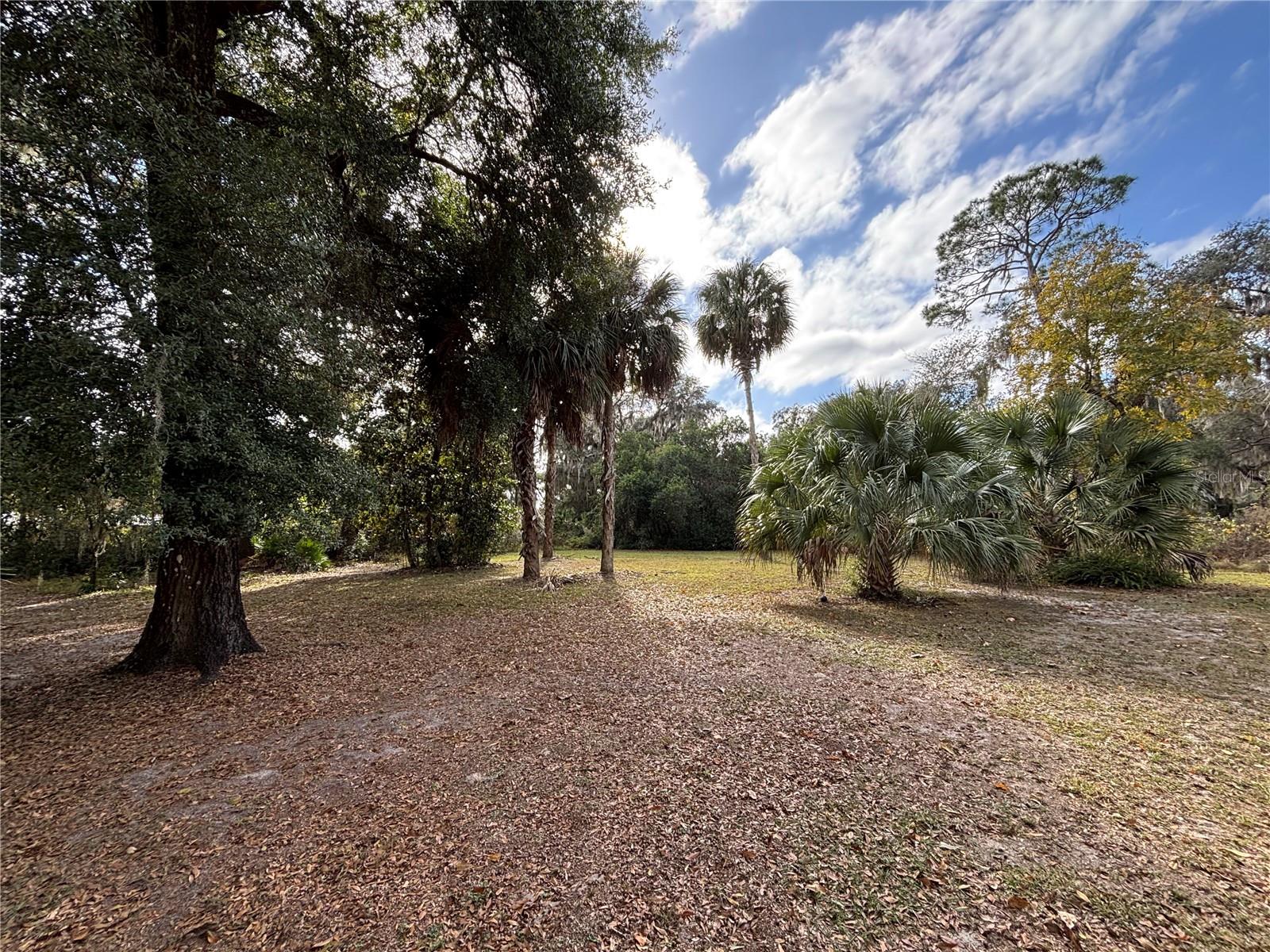 Image 24 of 32 For 111 Little Orange Lake Drive