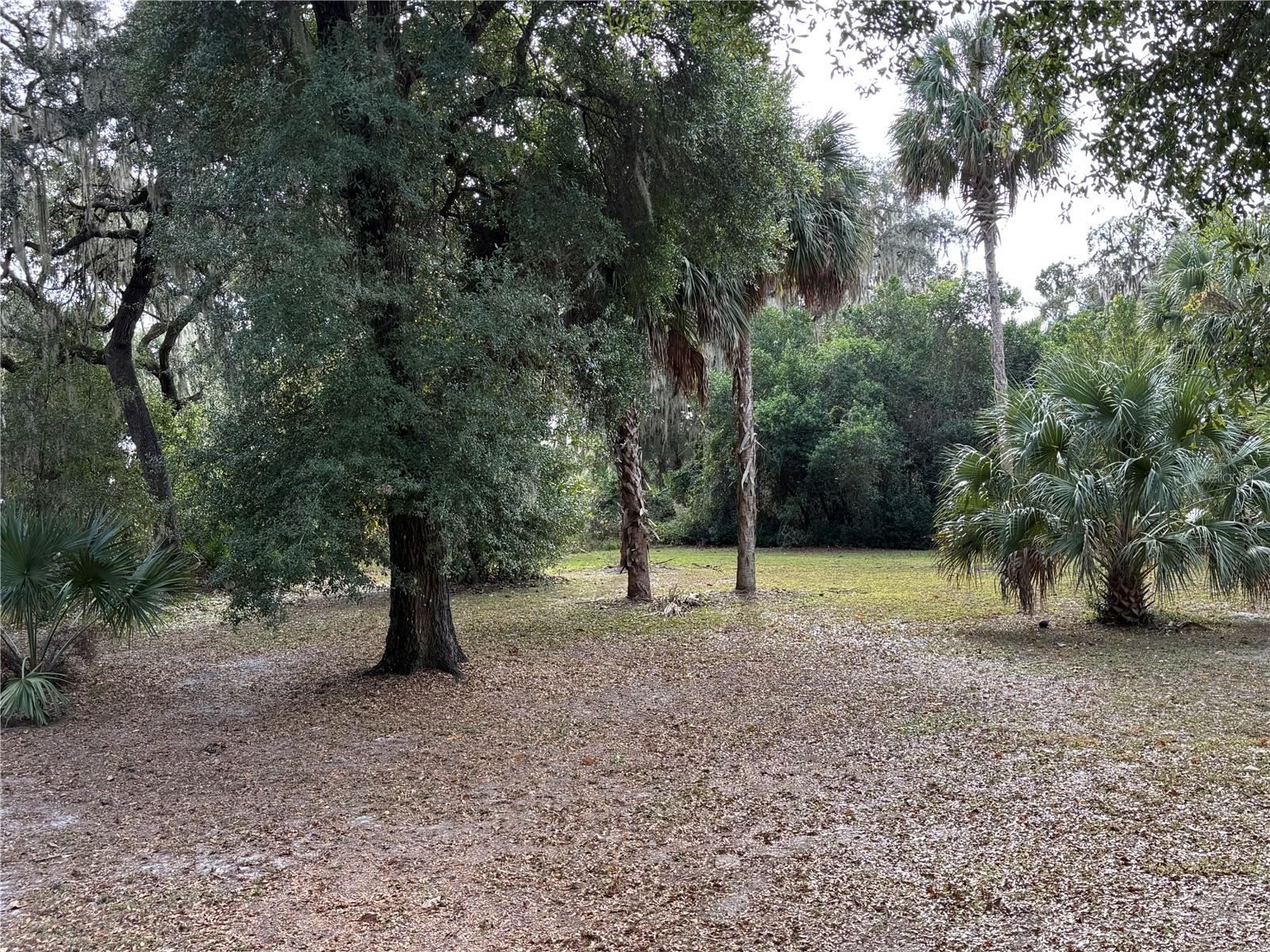 Image 29 of 32 For 111 Little Orange Lake Drive