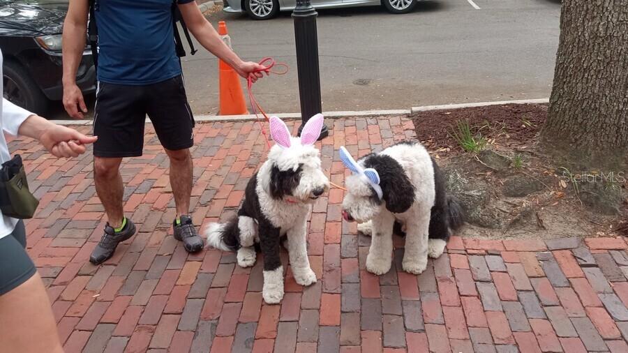 Image 29 of 31 For 9150 49th Place C