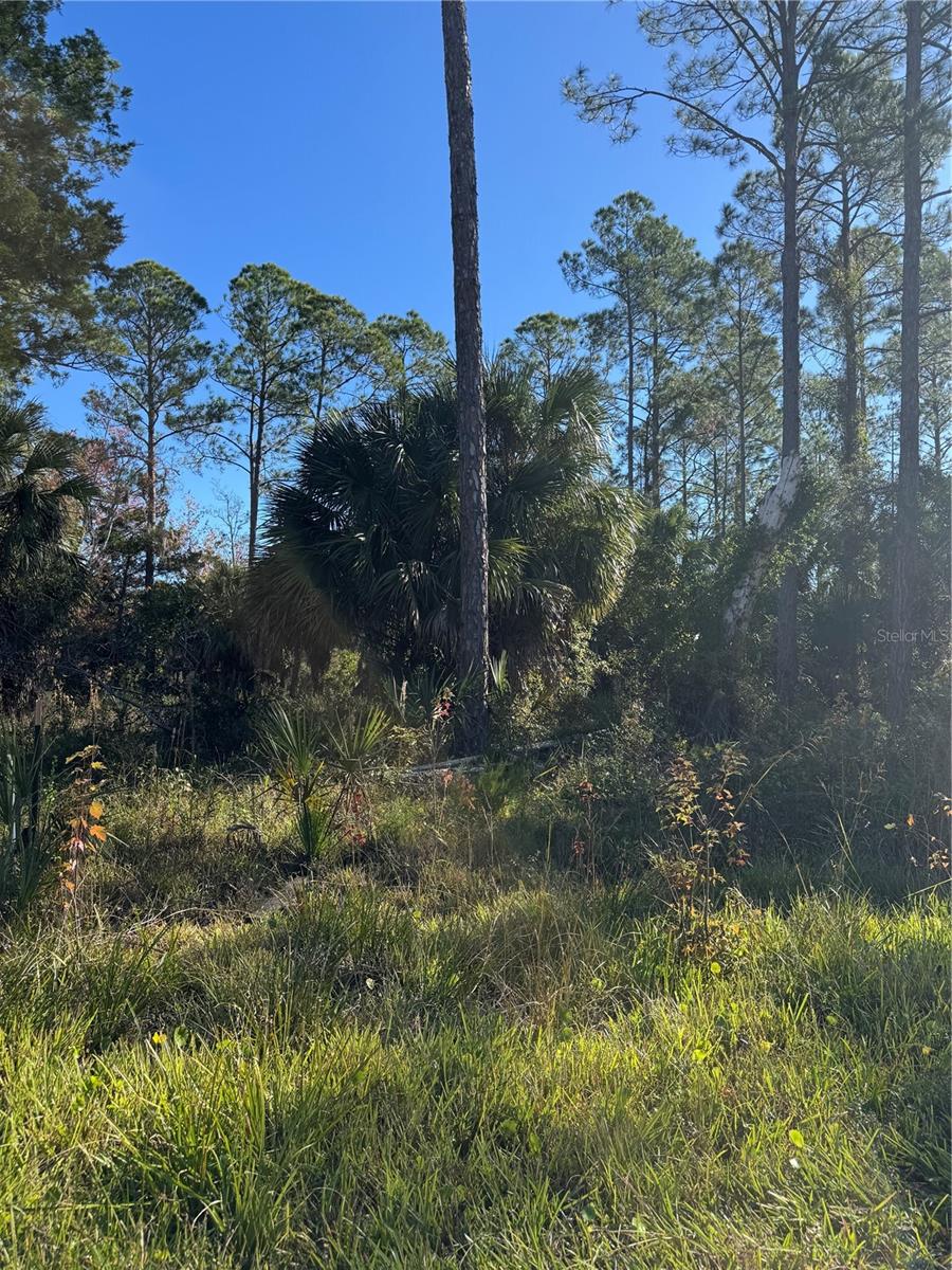 Image 2 of 4 For 00 330th St  