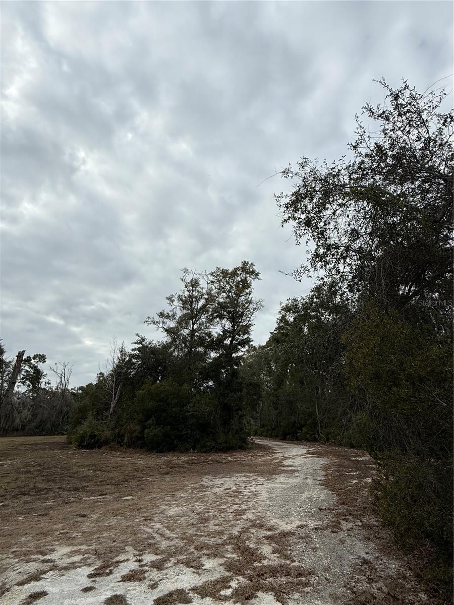 Image 28 of 45 For 347 544th Street