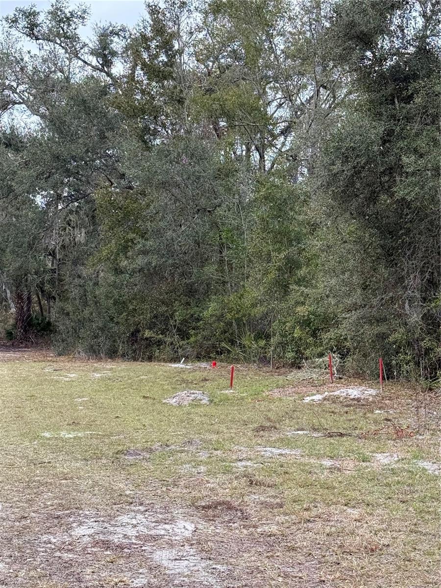 Image 32 of 45 For 347 544th Street