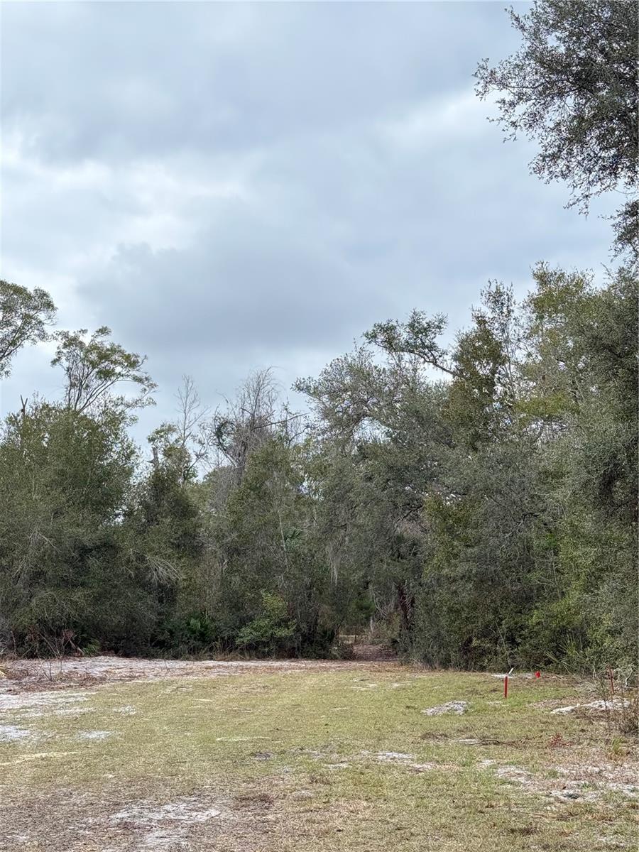 Image 33 of 45 For 347 544th Street