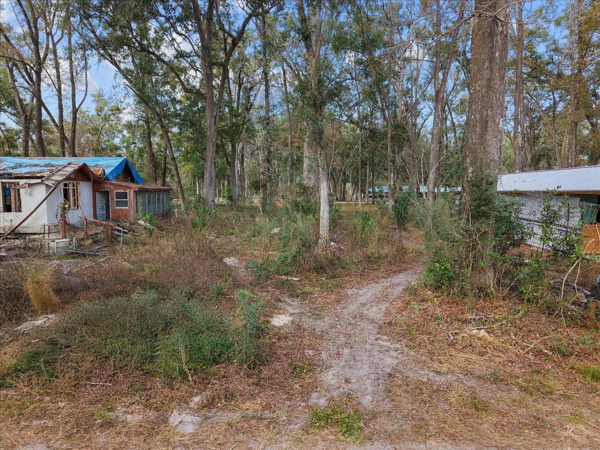 Details for 1254 143rd Avenue, OLD TOWN, FL 32680