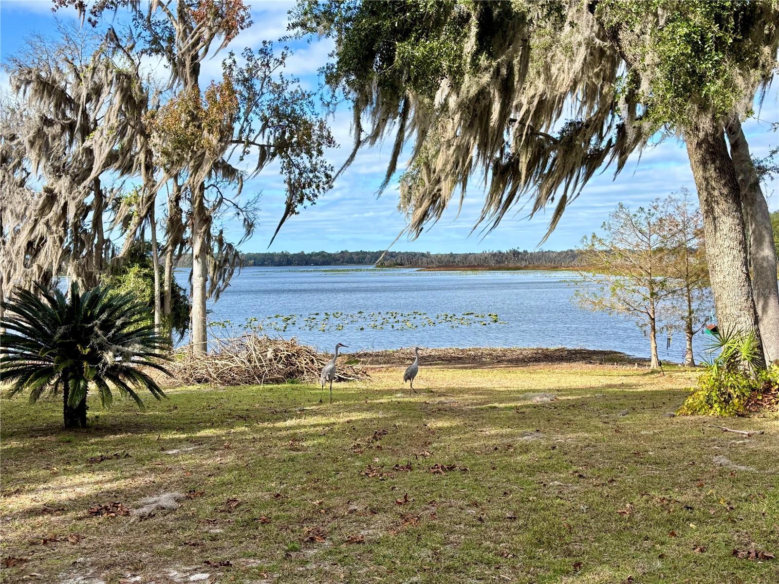 Details for 114 Little Orange Lake Drive, HAWTHORNE, FL 32640