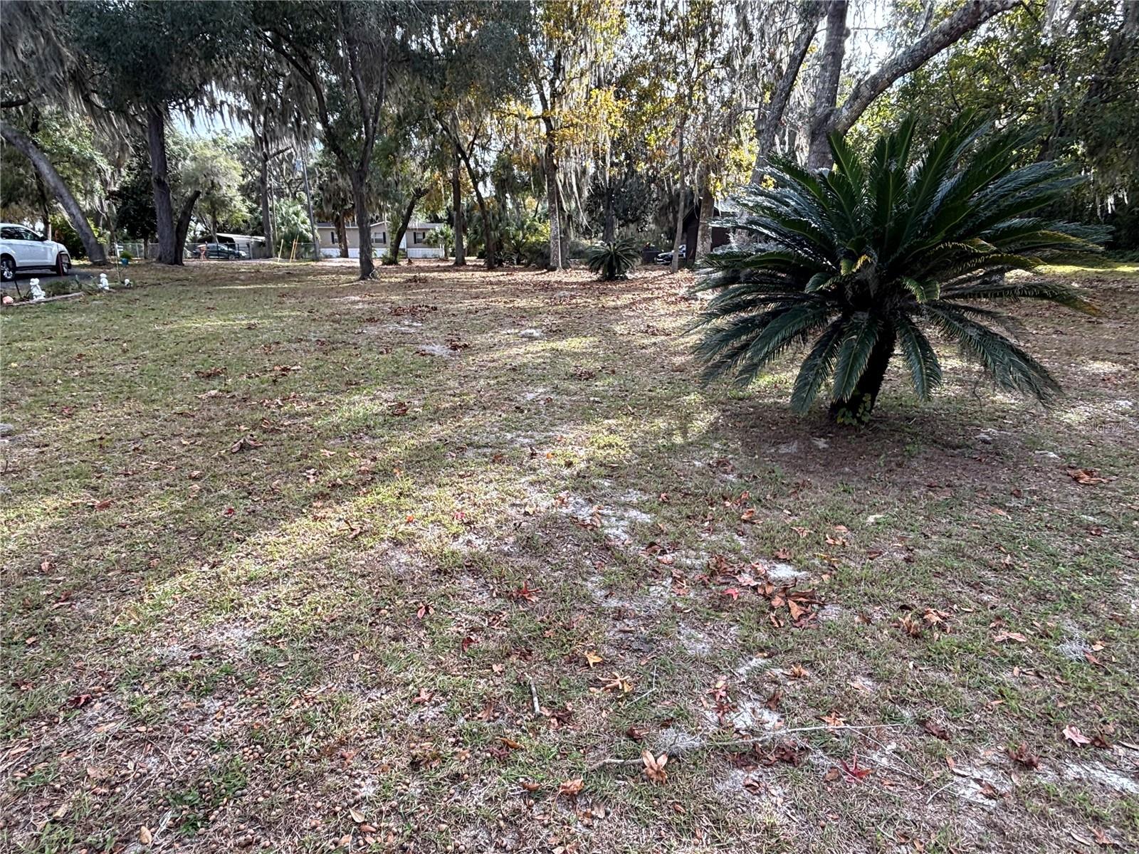 Image 11 of 20 For 114 Little Orange Lake Drive