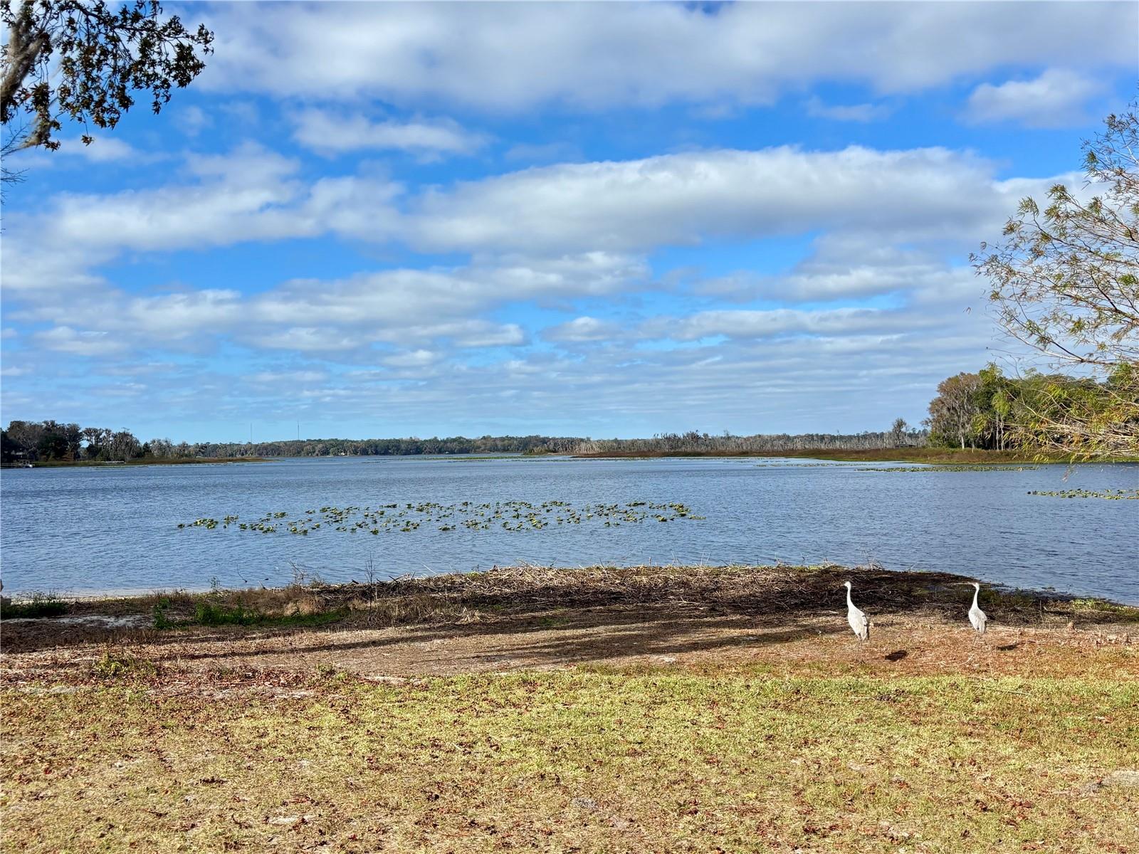 Image 14 of 20 For 114 Little Orange Lake Drive