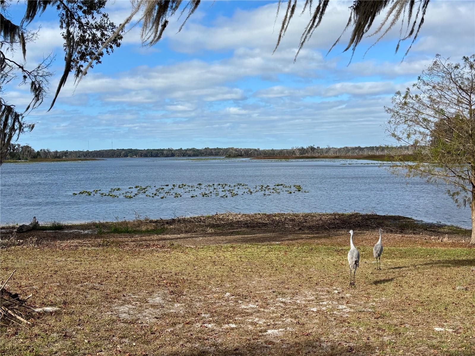 Image 16 of 20 For 114 Little Orange Lake Drive