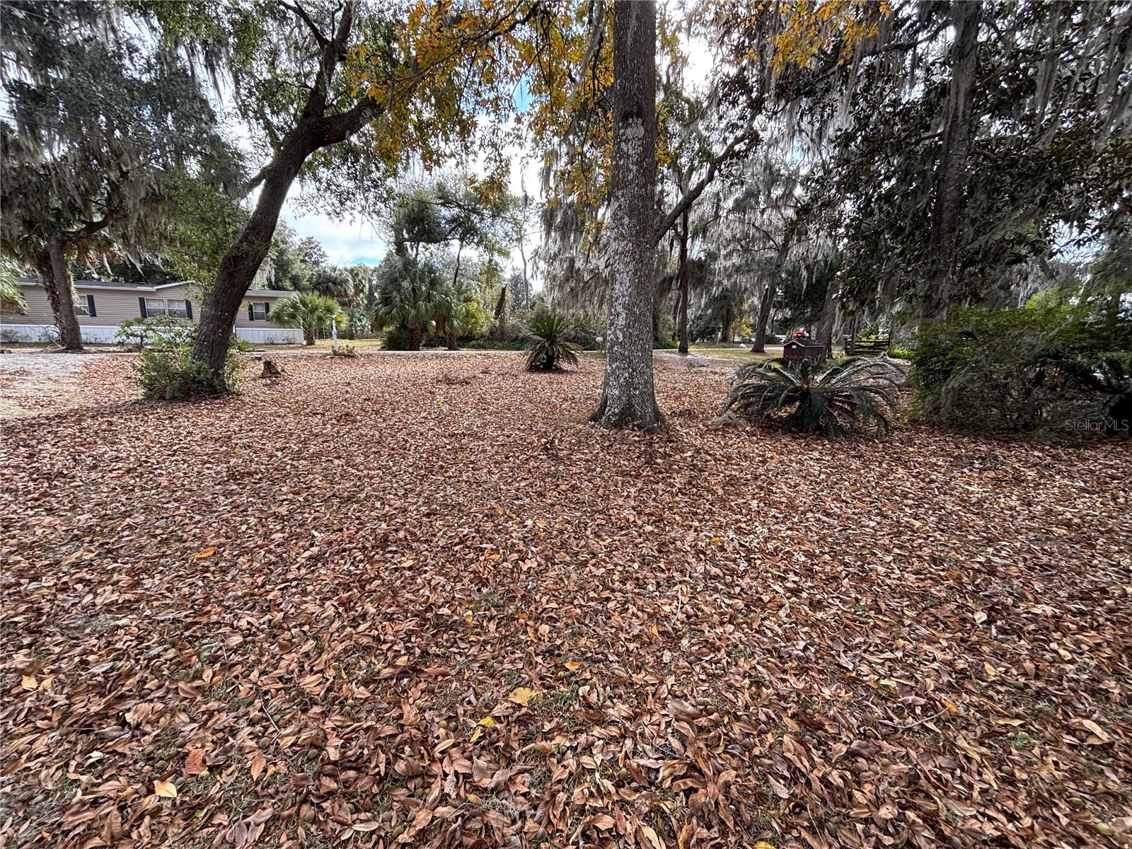 Image 19 of 20 For 114 Little Orange Lake Drive