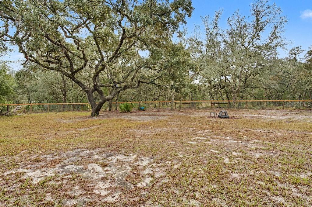 Image 23 of 25 For 8291 118 Terrace