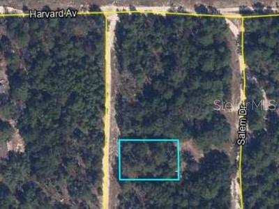 Details for 00 Lehigh Drive, KEYSTONE HEIGHTS, FL 32656