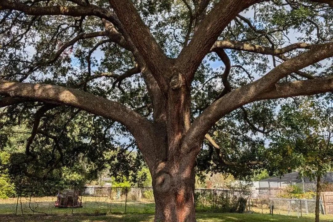 Image 13 of 13 For 6033 33rd Street