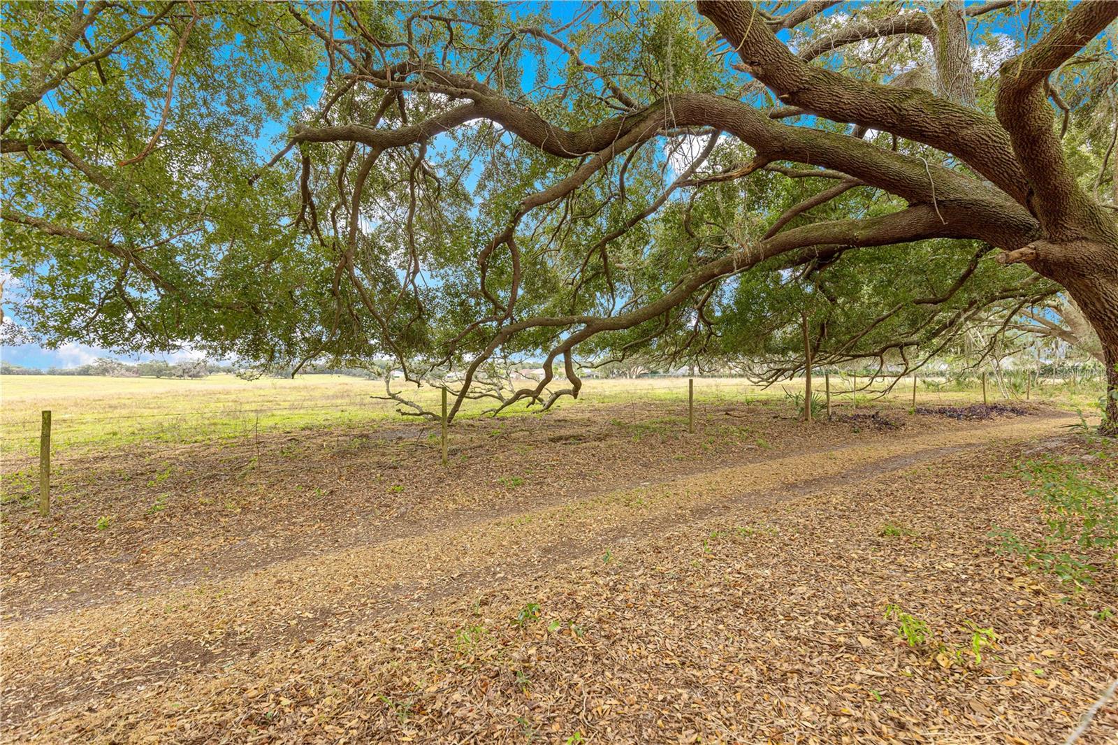 Image 45 of 59 For 17187 116th Court Road