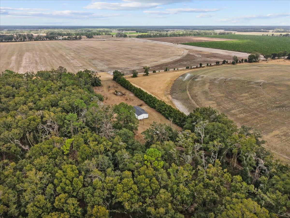 Image 15 of 22 For 4754 10th Street