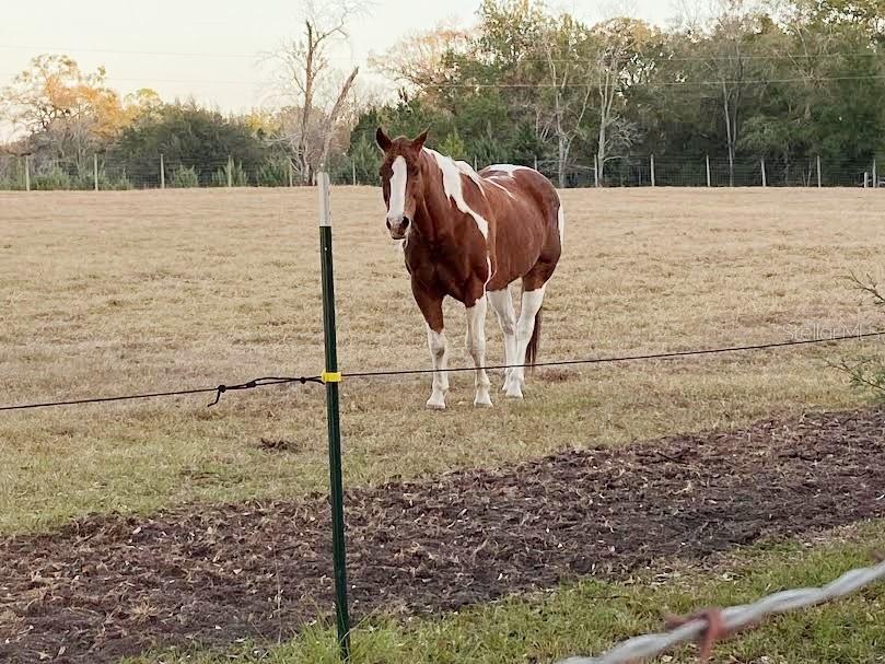 Image 20 of 69 For 23016 102nd Avenue