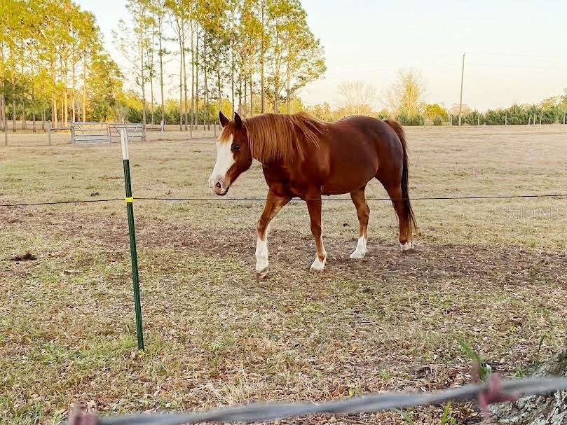 Image 21 of 69 For 23016 102nd Avenue