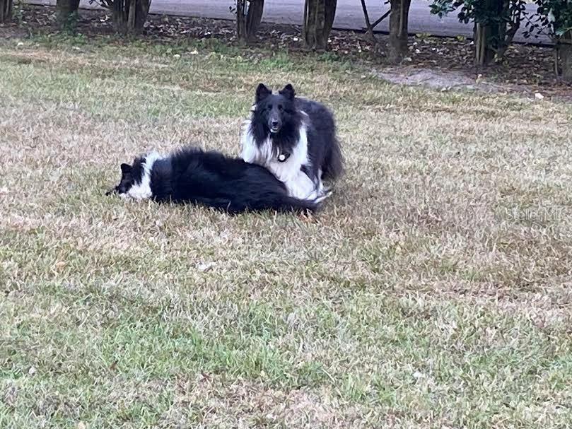 Image 23 of 69 For 23016 102nd Avenue