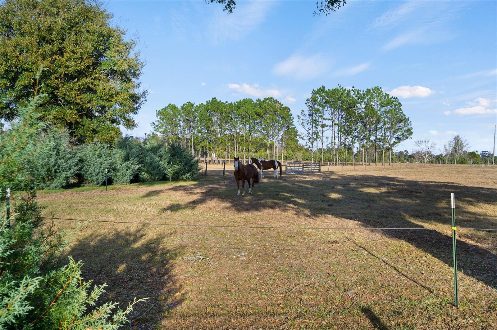 Image 59 of 69 For 23016 102nd Avenue