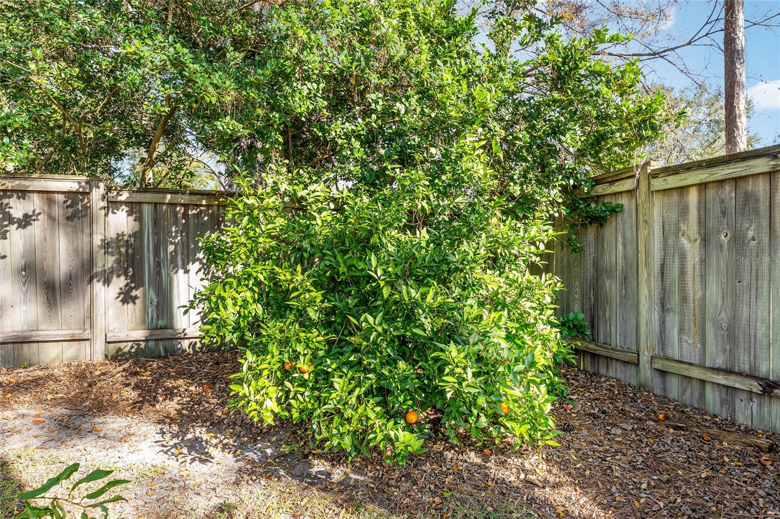 Image 31 of 36 For 6931 84th Drive