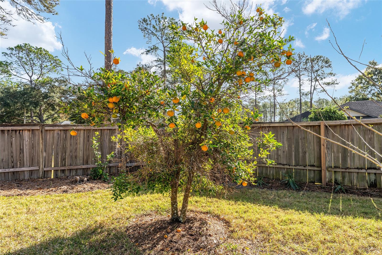 Image 32 of 36 For 6931 84th Drive