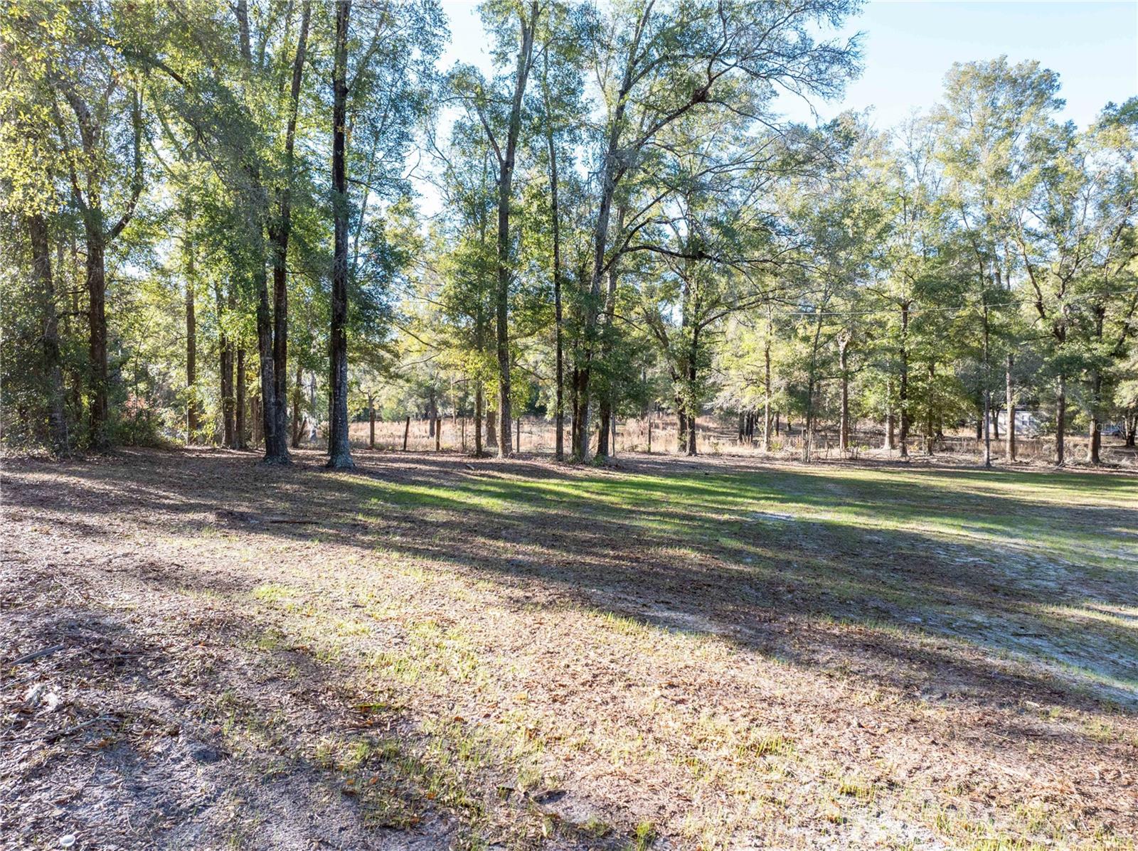 Image 22 of 45 For 1809 Rosemary Circle