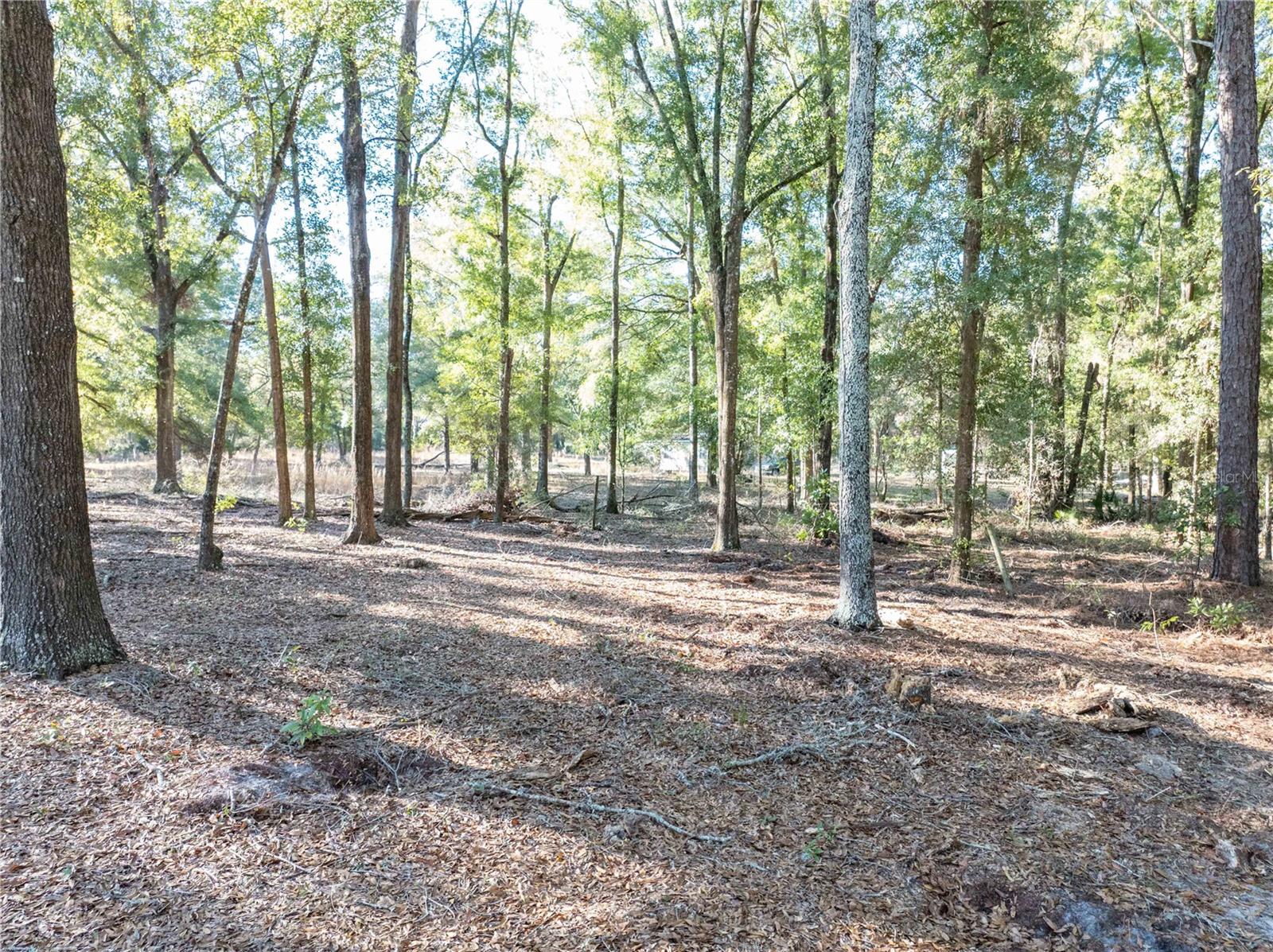 Image 29 of 45 For 1809 Rosemary Circle