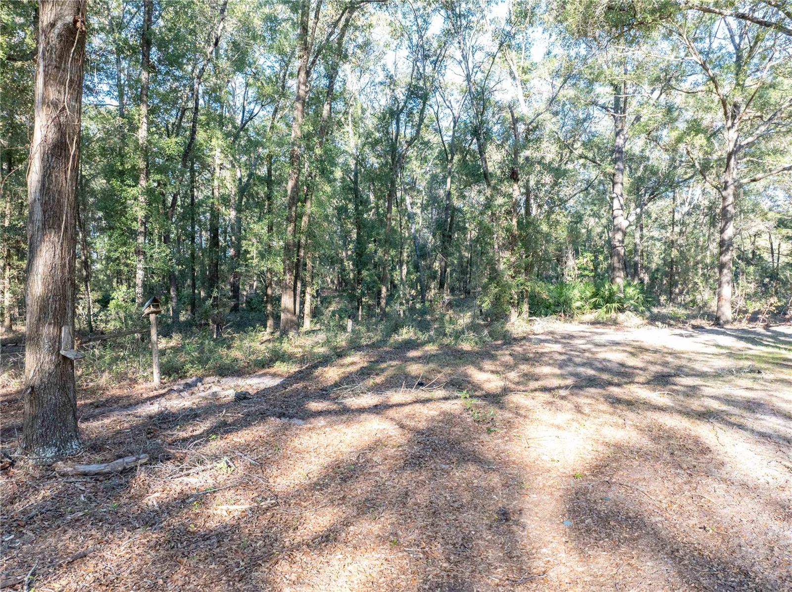 Image 30 of 45 For 1809 Rosemary Circle