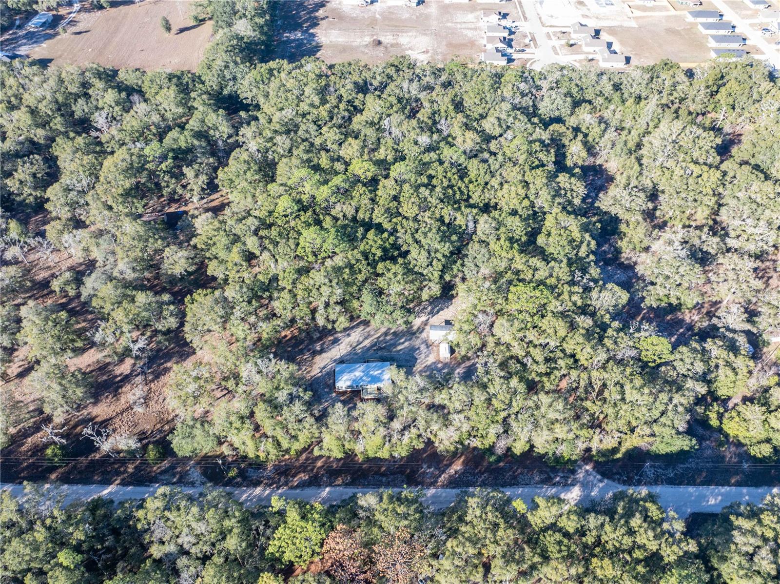 Image 39 of 45 For 1809 Rosemary Circle