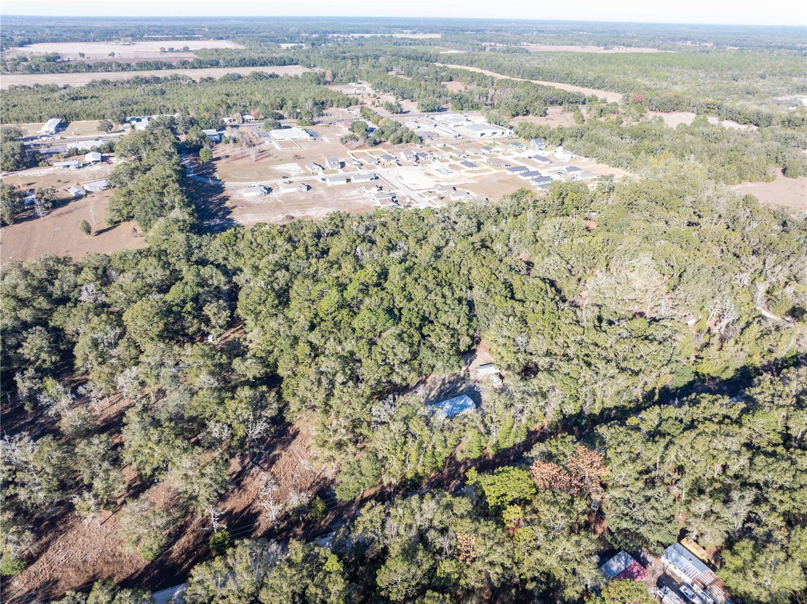 Image 43 of 45 For 1809 Rosemary Circle