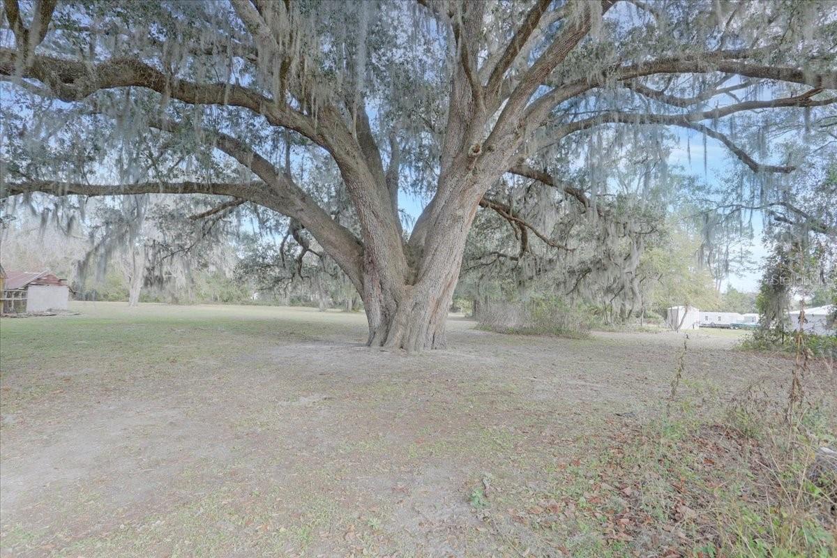 Details for County Road 791, LAKE BUTLER, FL 32054