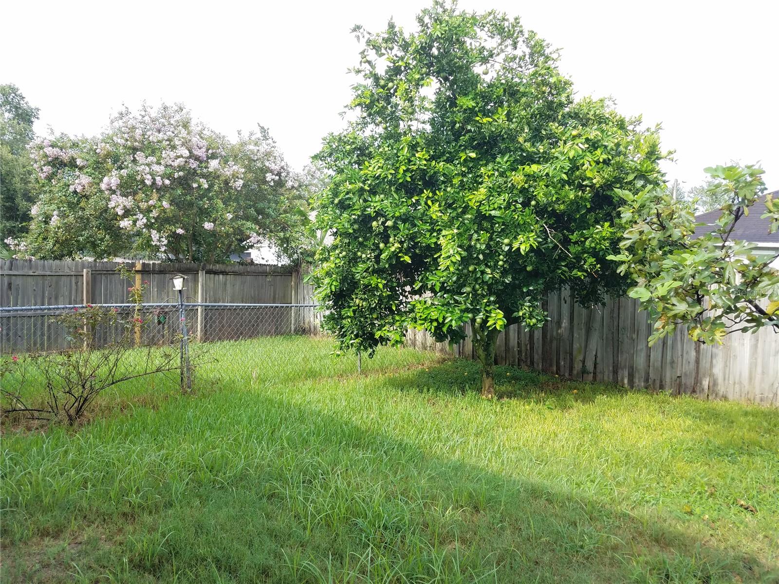 Image 19 of 19 For 3561 88th Terrace