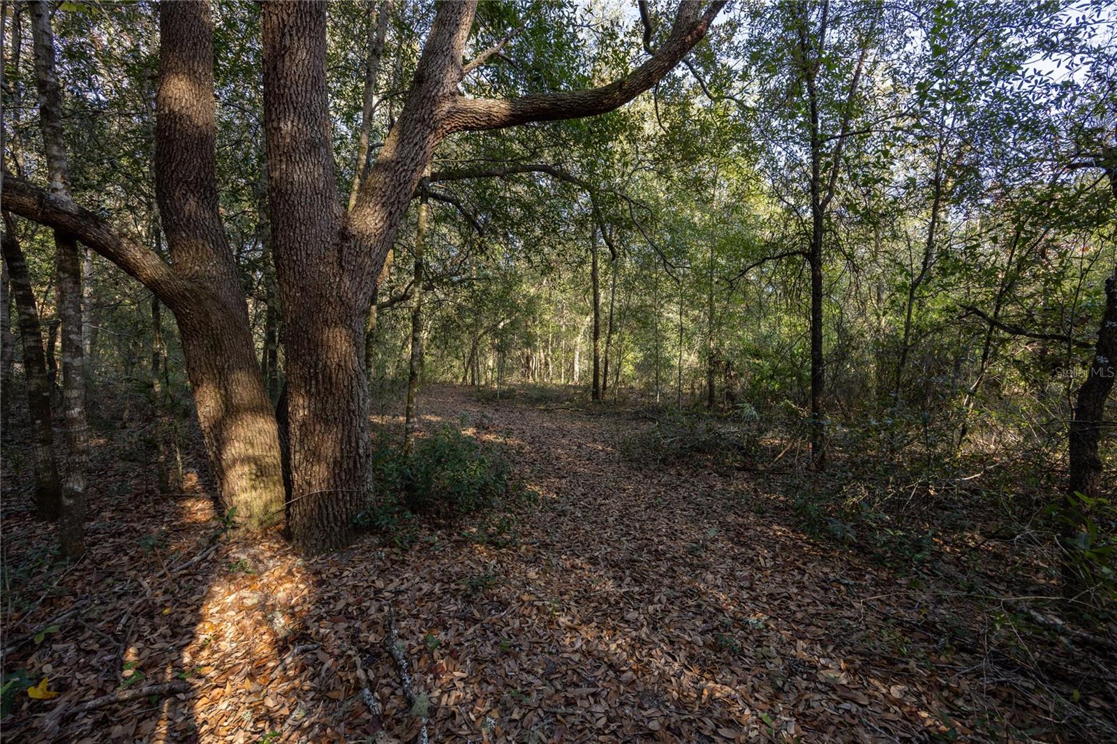 Image 44 of 51 For 8931 118th Terrace