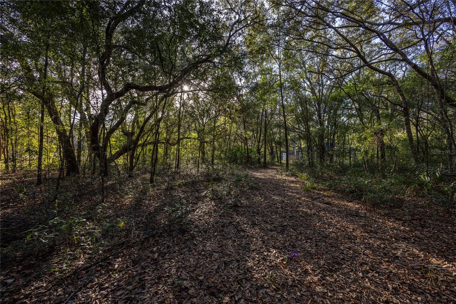 Image 45 of 51 For 8931 118th Terrace