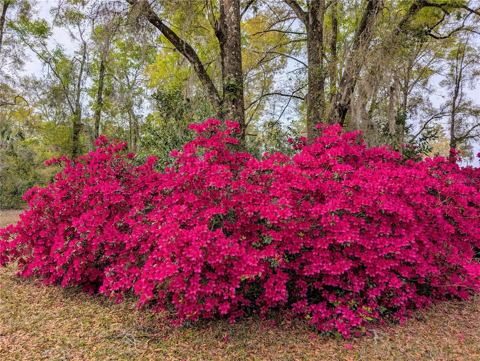 Image 69 of 80 For 6250 94th Lane