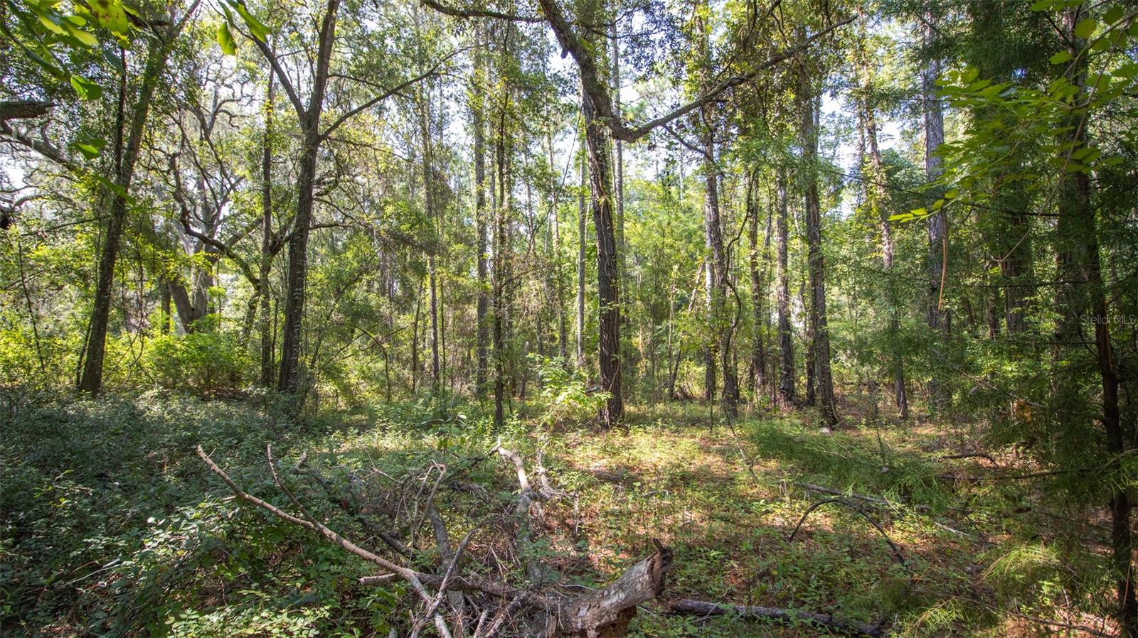 Image 12 of 17 For 101 Ashley Lake Drive