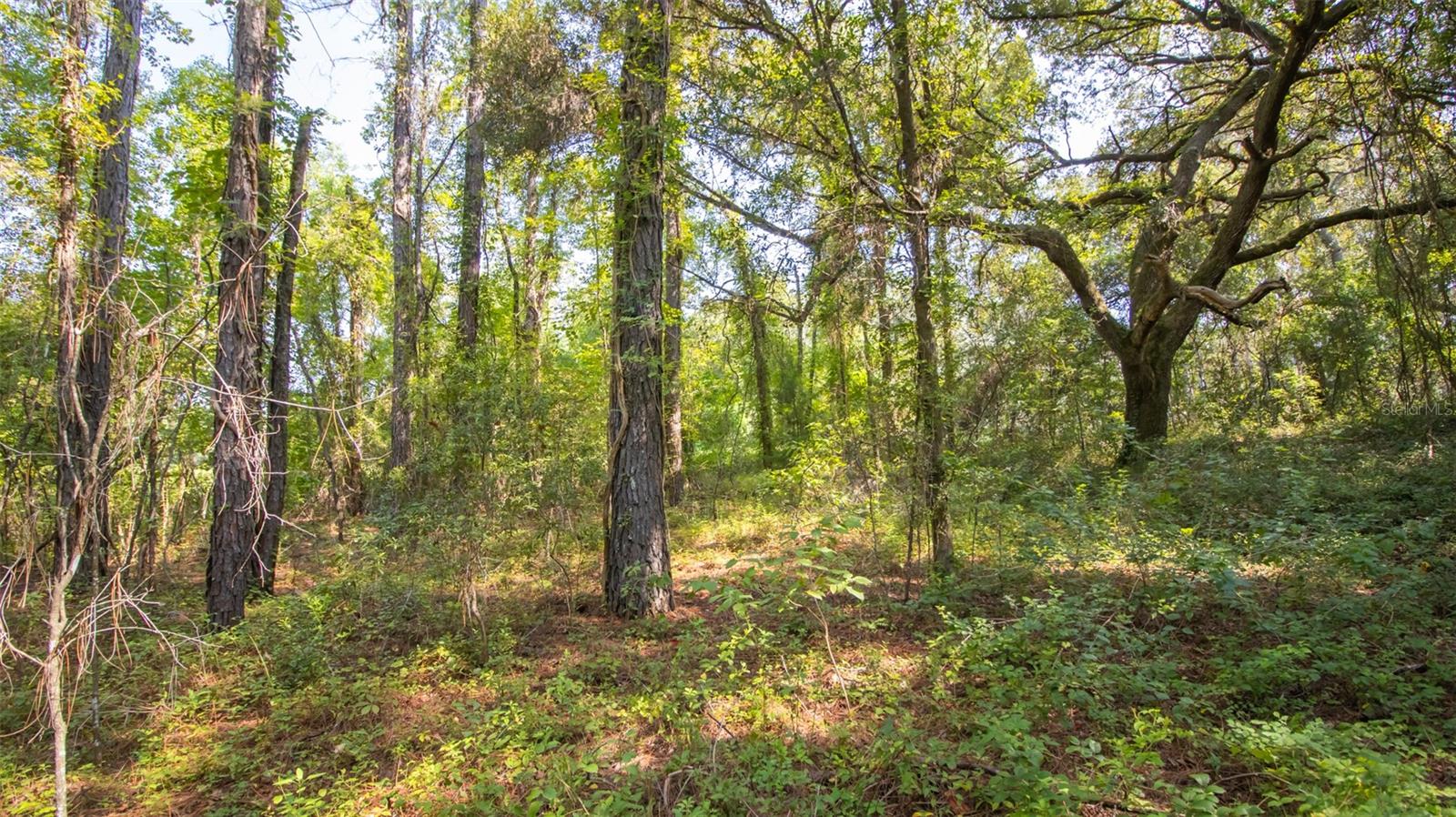 Image 13 of 17 For 101 Ashley Lake Drive