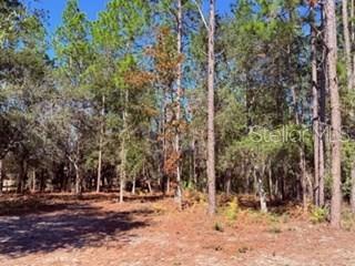 Image 23 of 32 For 2629 29th Terrace