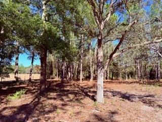 Image 24 of 32 For 2629 29th Terrace