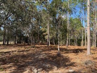 Image 30 of 32 For 2629 29th Terrace