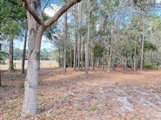 Image 31 of 32 For 2629 29th Terrace