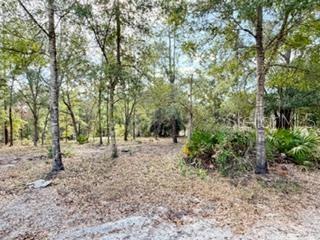 Image 32 of 32 For 2629 29th Terrace