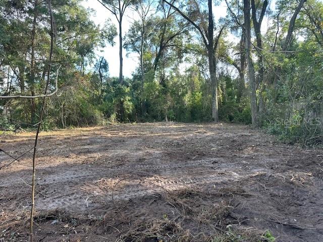 Image 7 of 10 For 00 181st Pl  