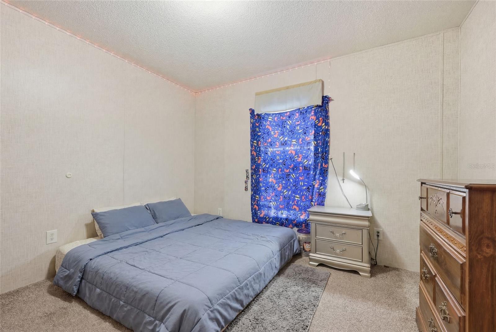 Image 12 of 23 For 317 Cumberland Street