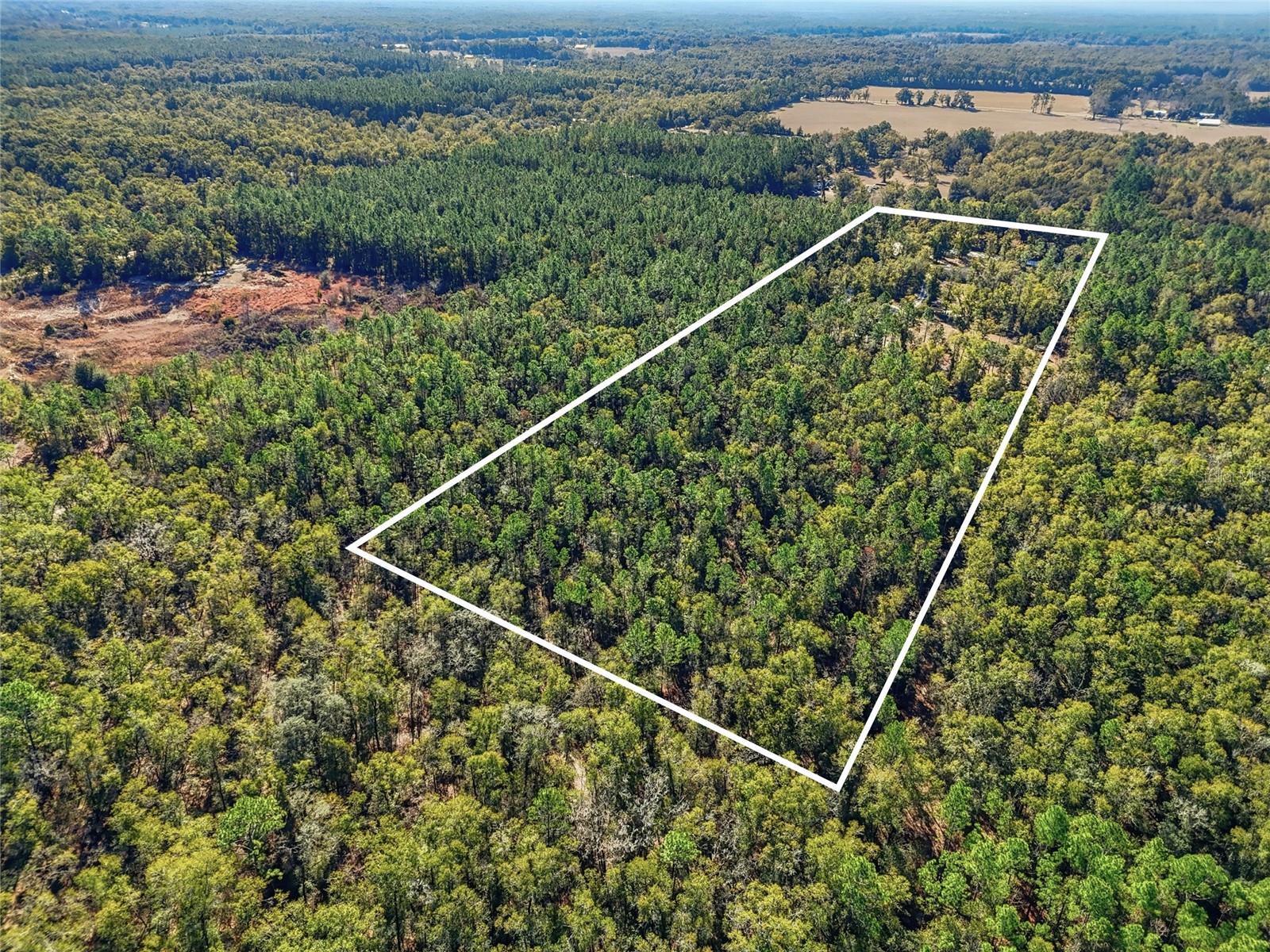 Image 23 of 23 For 317 Cumberland Street