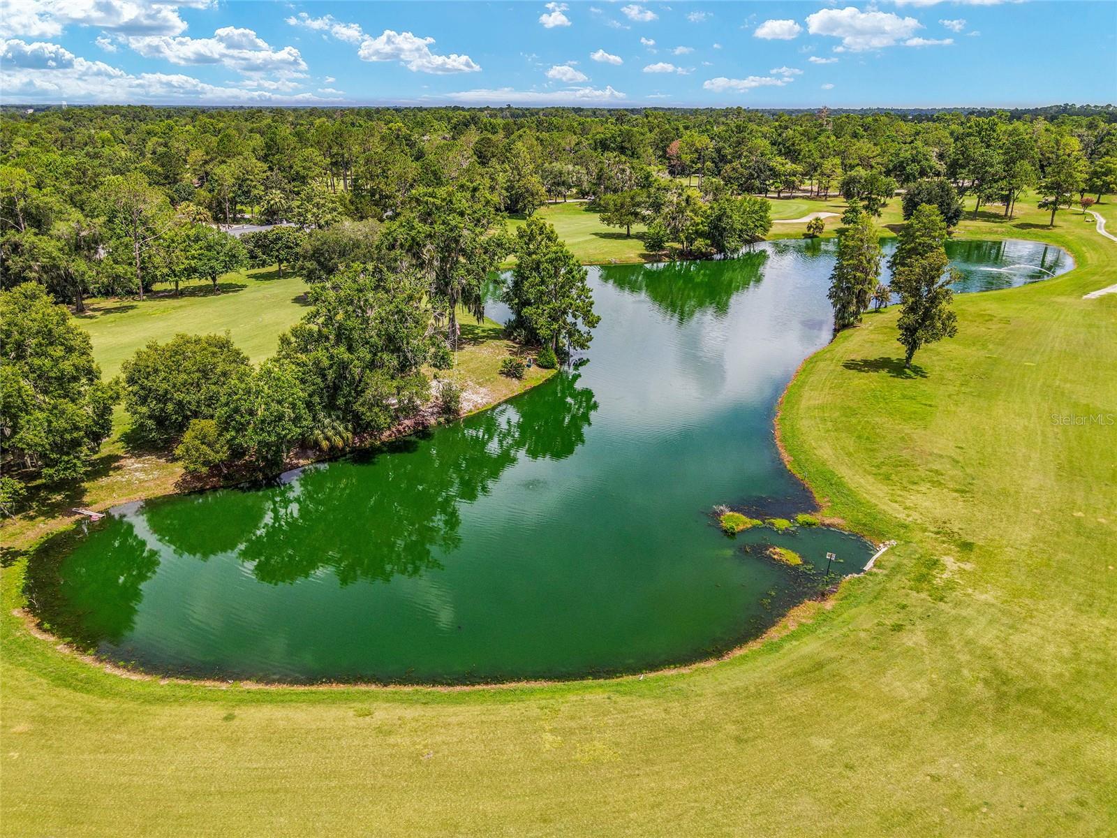 Image 41 of 49 For 6242 105th Avenue