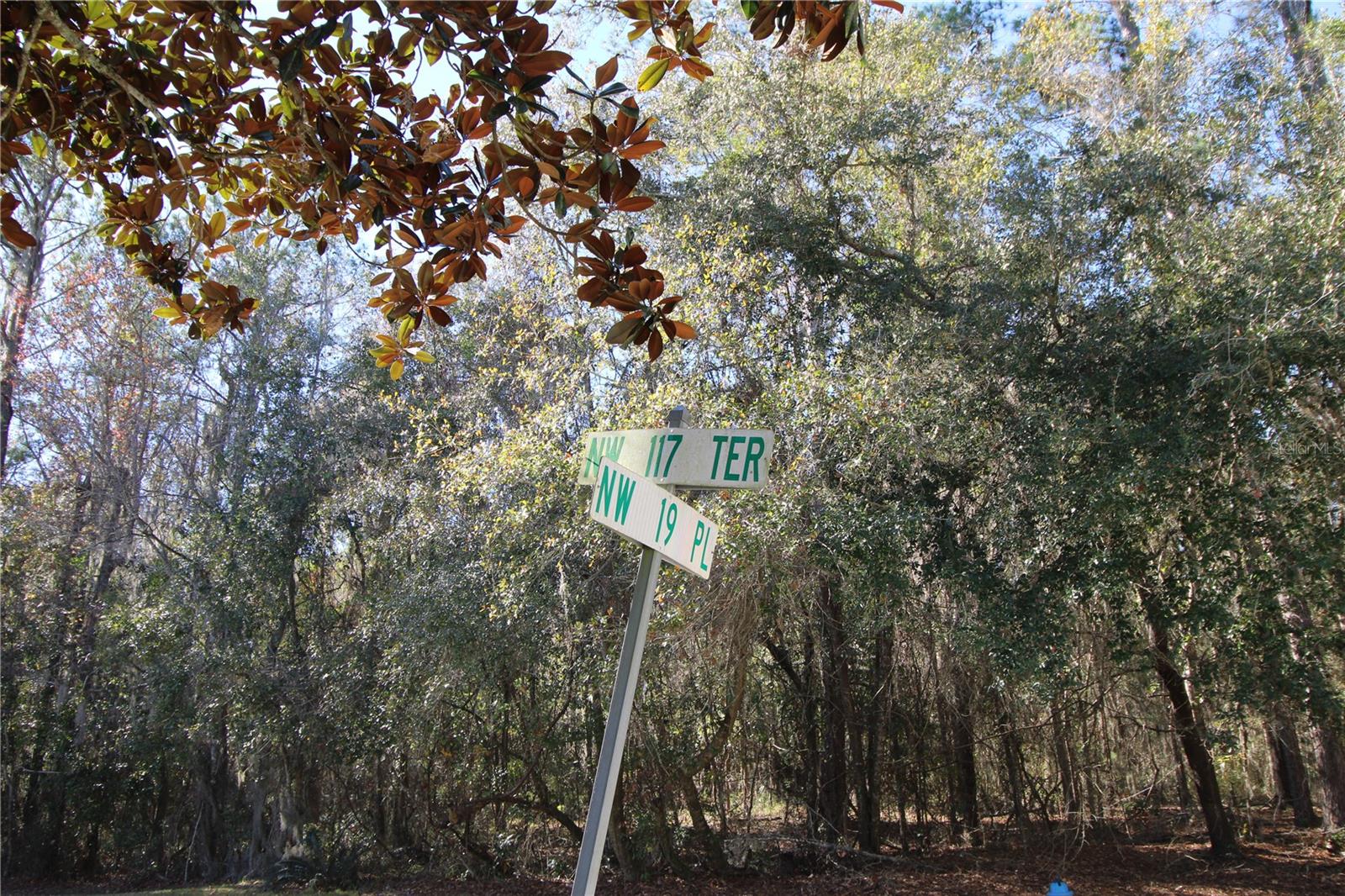 Image 2 of 43 For 11685 19th Place