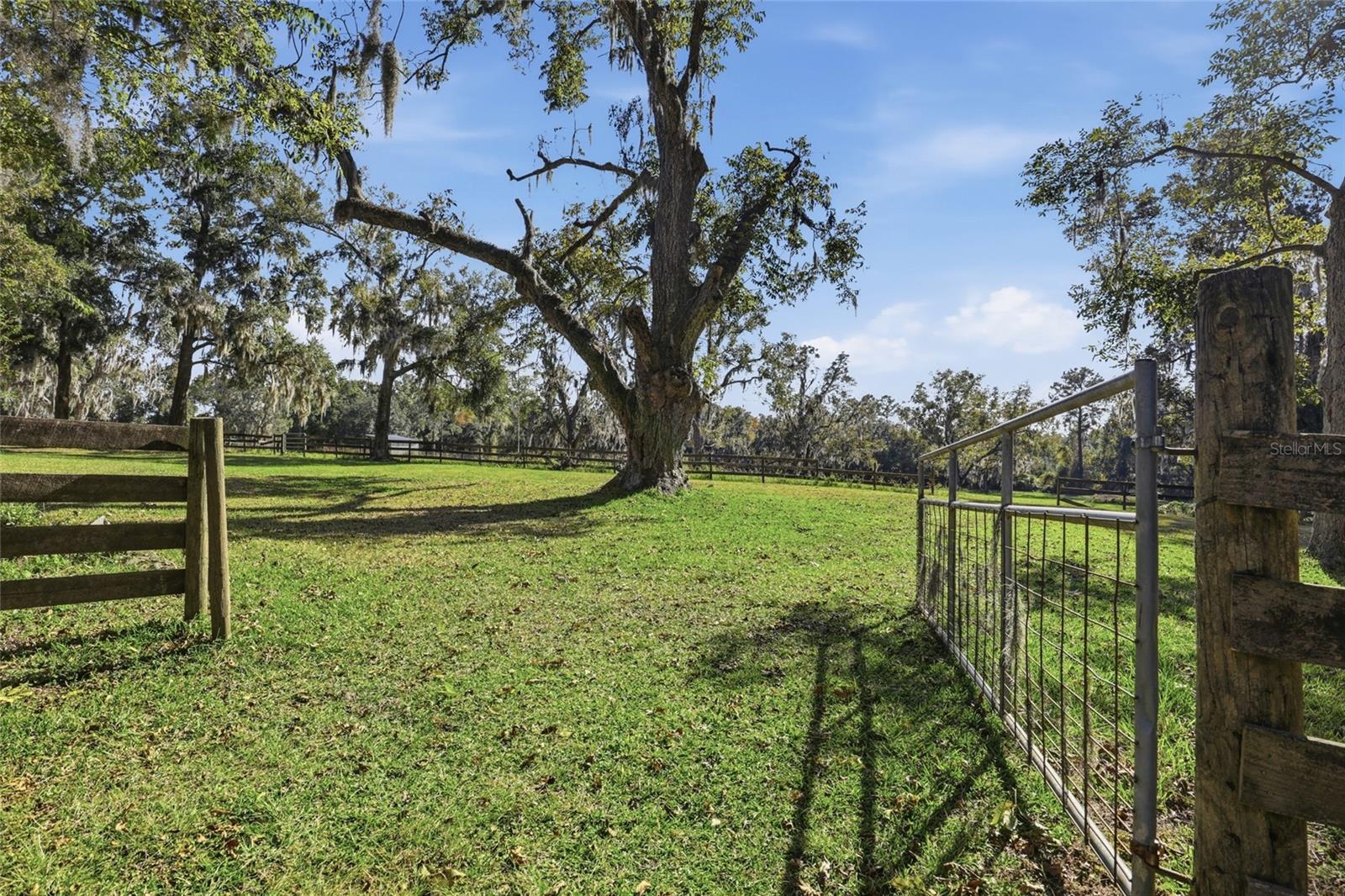 Image 57 of 80 For 6109 Elim Church Road