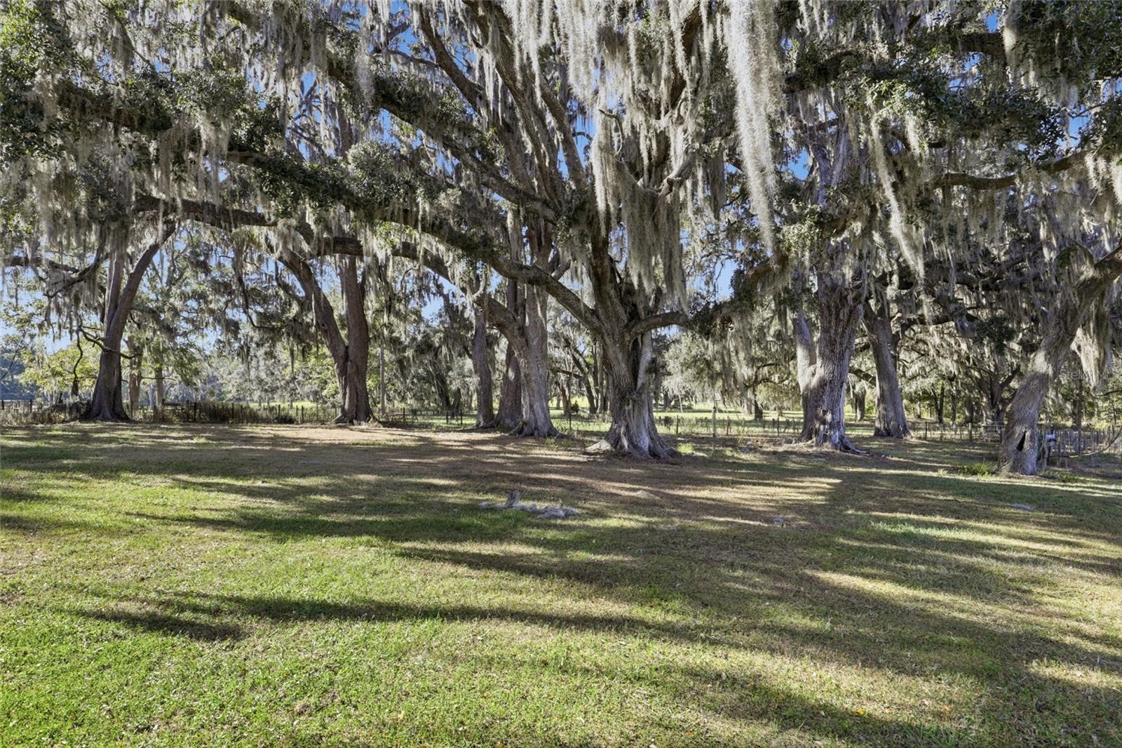 Image 60 of 80 For 6109 Elim Church Road