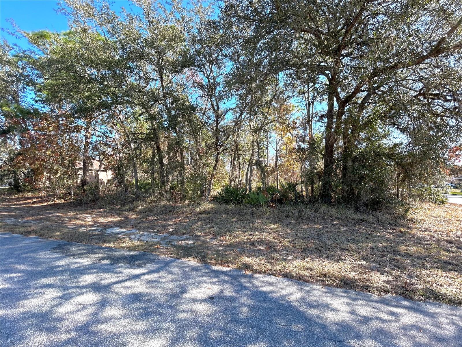 Details for 2 Dracaena Court, HOMOSASSA, FL 34446